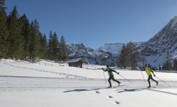 Réseau de pistes de ski de fond dans la vallée et sur le haut-plateau
