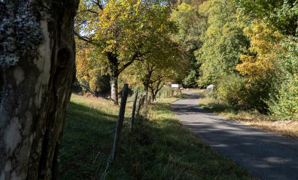 Route du Jura, Étape 5/6