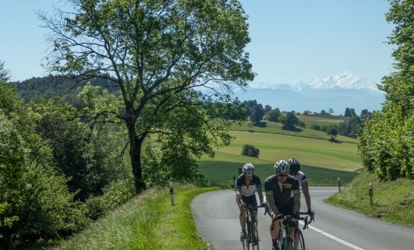 Route du Pied du Jura