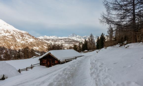 Alpe Äbnet–Hannigalp Trail