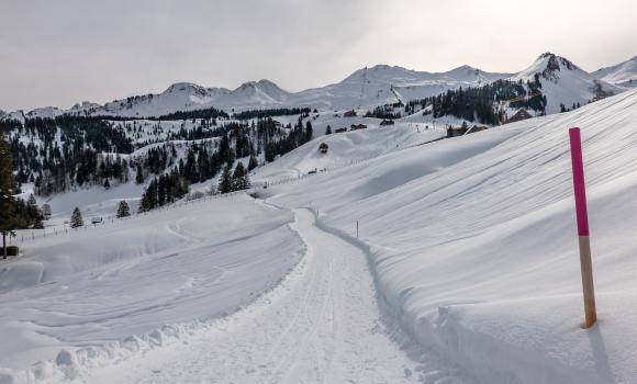 Nühusweidli-Winterwanderweg