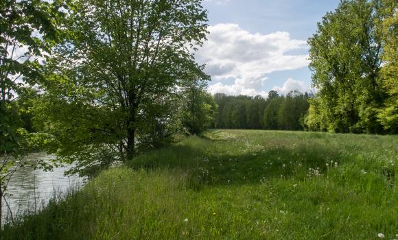 Thurweg, Étape 6/8