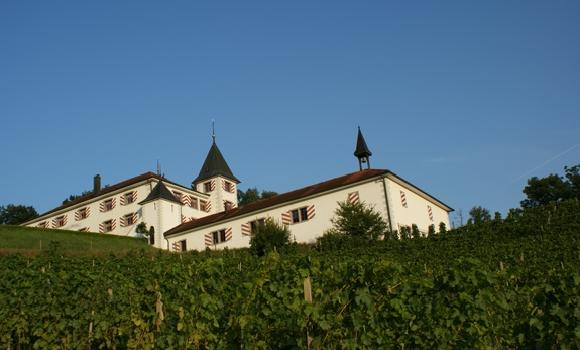 Château Weinberg – séminaires sur les vins