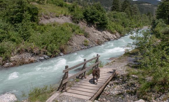 Via Albula/Bernina