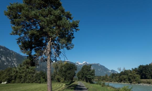 Route du Rhône, Étape 5/8
