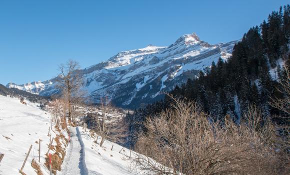 Chemin Les Diablerets–Vers l’Eglise