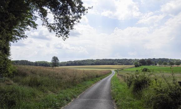 Lötschberg–Jura, Étape 5/5