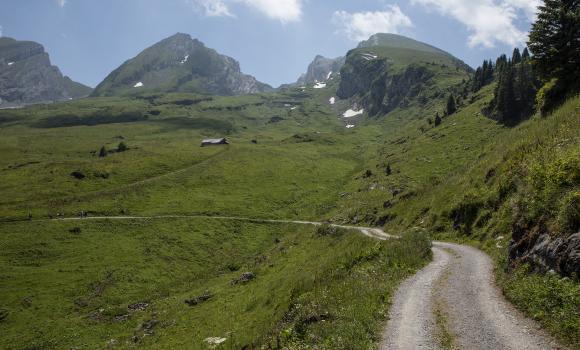 Toggenburger Höhenweg