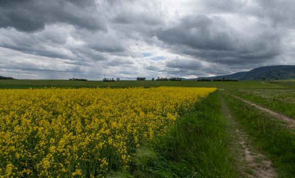 Trans Swiss Trail