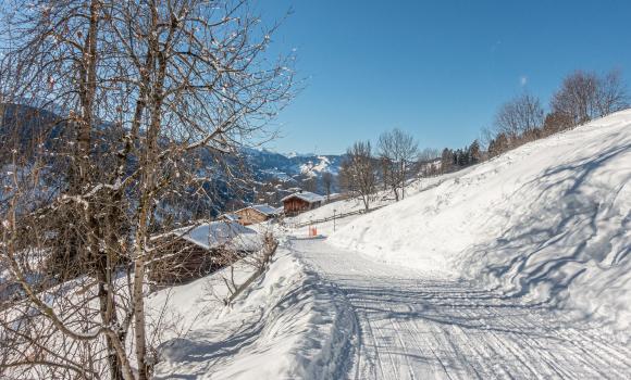 Madrisa-Schlittelbahn