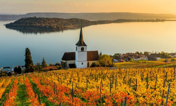 Chemins thématiques sur le vin au bord du lac de Bienne