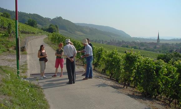 Sentier didactique viticole VITI-TOUR