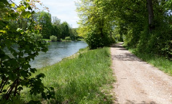 Limmat-Uferweg