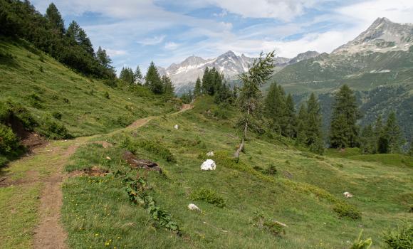 Alpi Bedretto Bike