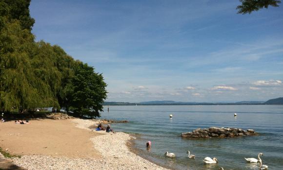 Parc des Jeunes-Rives 