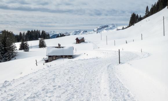 Chemin Isenau–Col du Pillon