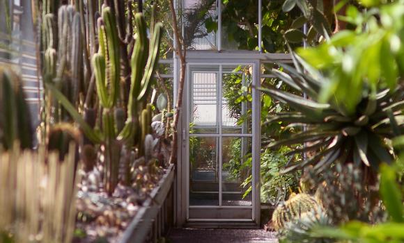 Jardin botanique de Saint-Gall