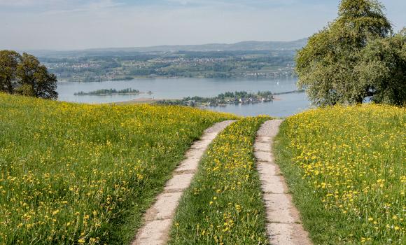 ViaJacobi, Étape 33/33