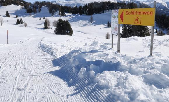 Schlittelweg Mutta Südhang