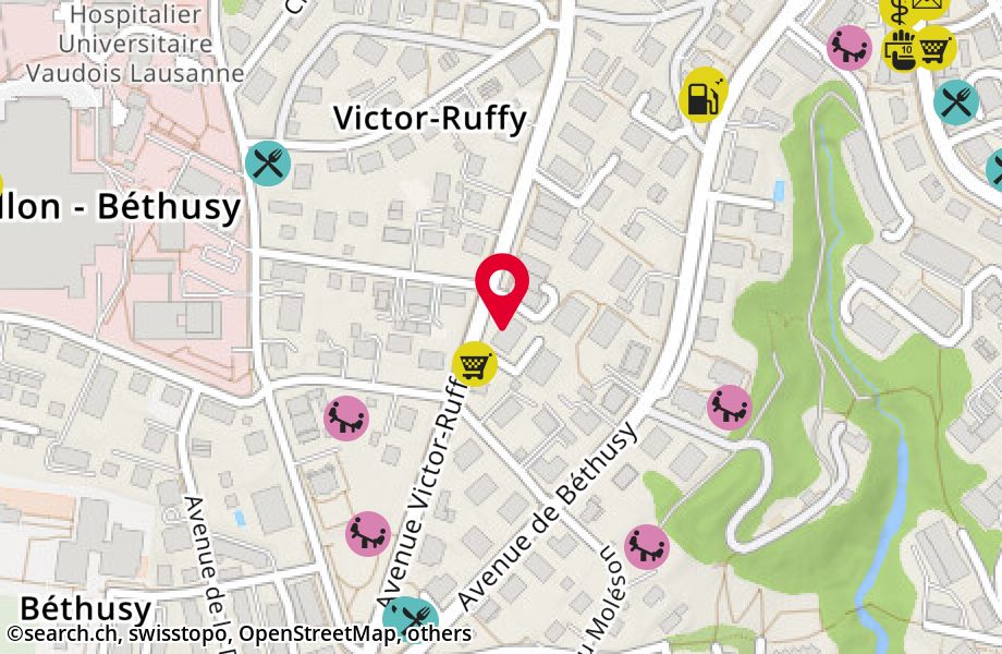 Avenue Victor-Ruffy 12, 1012 Lausanne