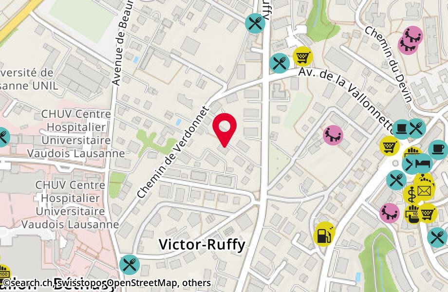 Avenue Victor-Ruffy 19, 1012 Lausanne