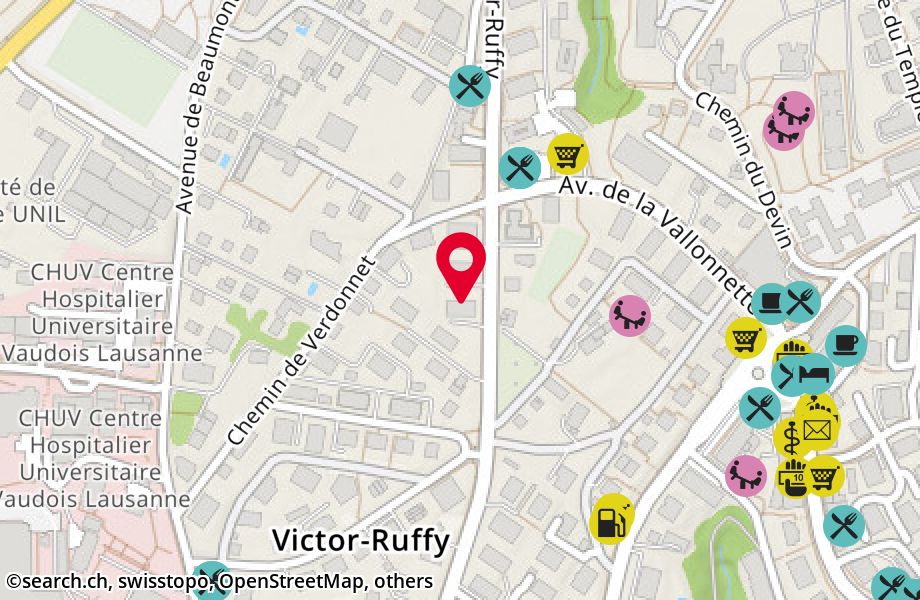 Avenue Victor-Ruffy 29, 1012 Lausanne