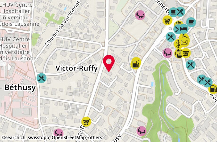 Avenue Victor-Ruffy 30BIS, 1012 Lausanne