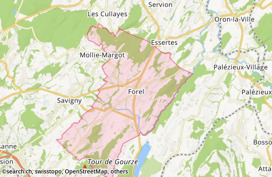 1072 Forel (Lavaux)