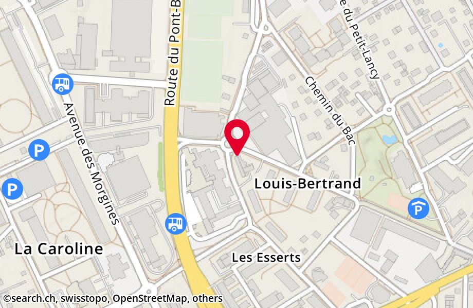 Avenue Louis-Bertrand 27, 1213 Petit-Lancy