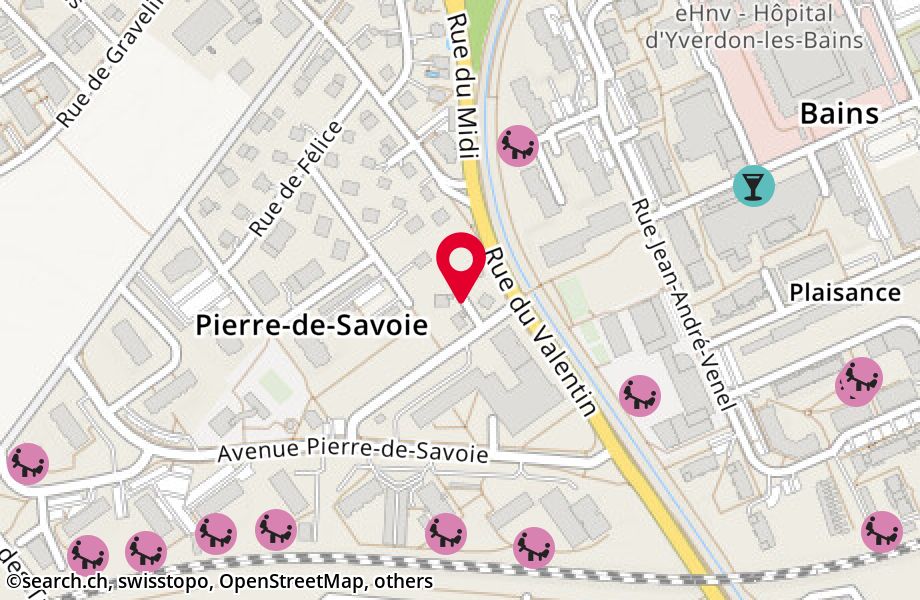 Rue de Pyrame-de-Candolle 6, 1400 Yverdon-les-Bains