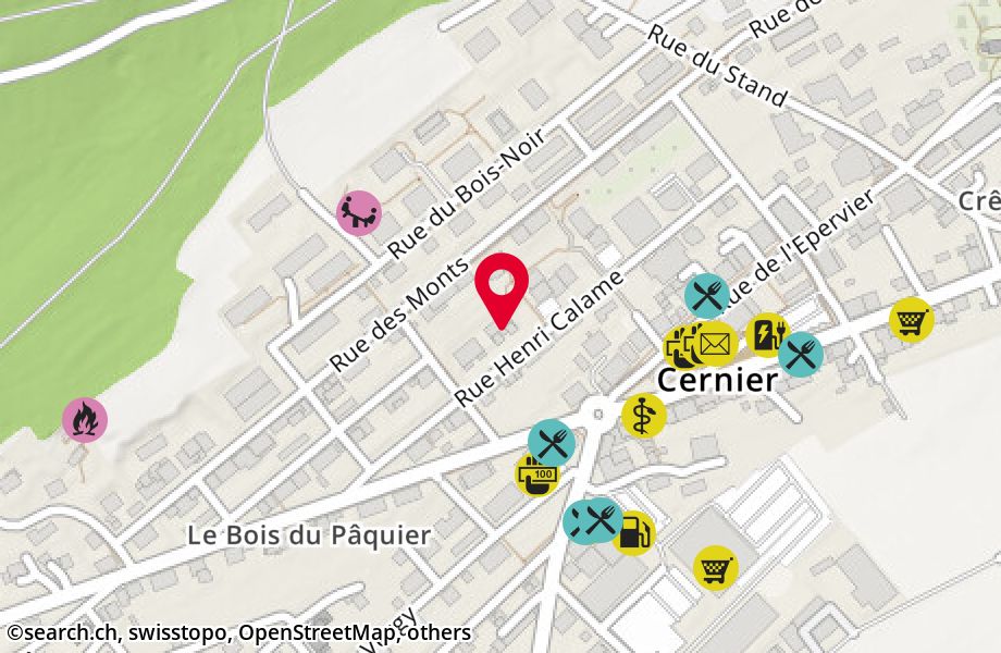 Rue Henri Calame 18, 2053 Cernier