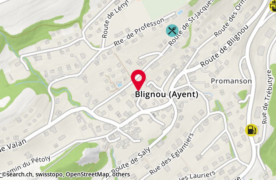 Route de Blignou 56, 1966 Blignou (Ayent)