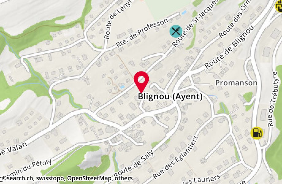 Route de Blignou 56, 1966 Blignou (Ayent)
