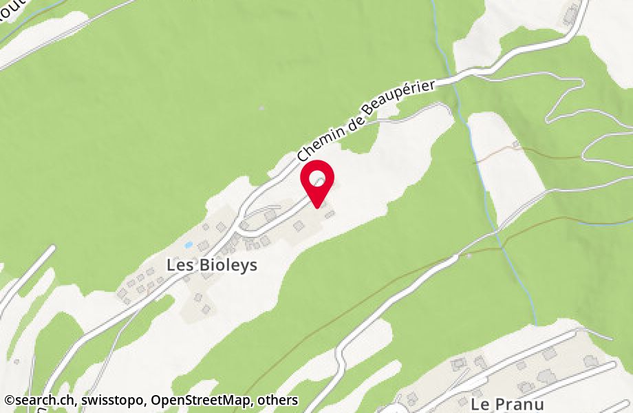 Route des Bioleys de Brignon 160, 1996 Brignon (Nendaz)