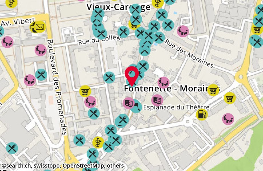 Rue Ancienne 40, 1227 Carouge