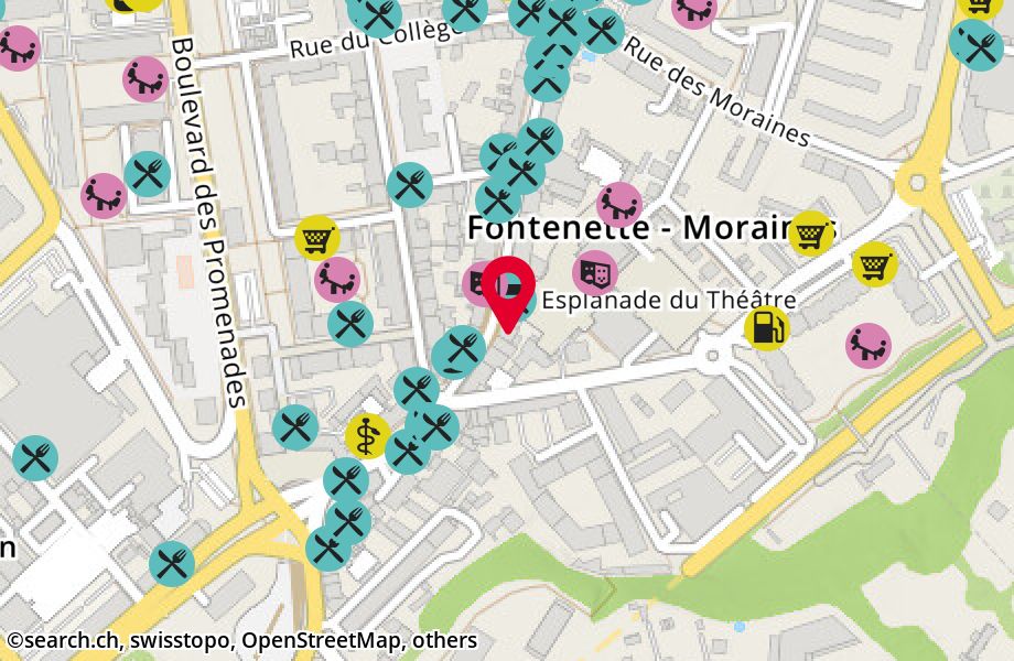 Rue Ancienne 43, 1227 Carouge