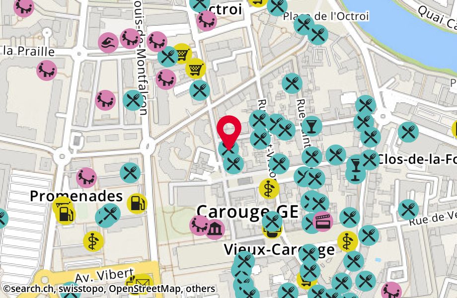 Rue Jacques-Dalphin 11, 1227 Carouge