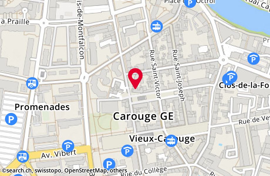Rue Jacques-Dalphin 13, 1227 Carouge