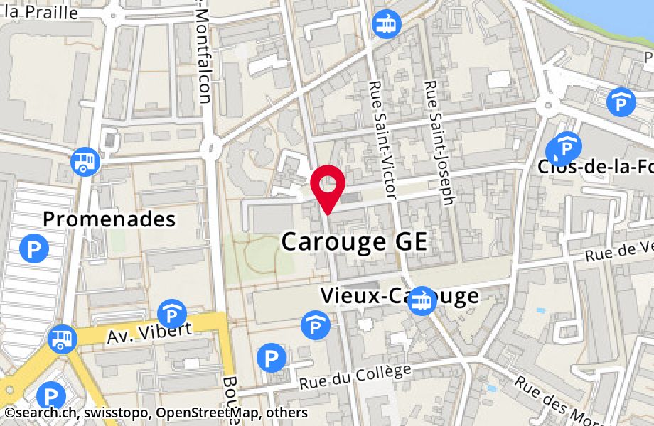 Rue Jacques-Dalphin 15, 1227 Carouge