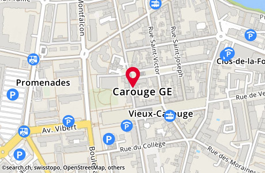 Rue Jacques-Dalphin 17, 1227 Carouge
