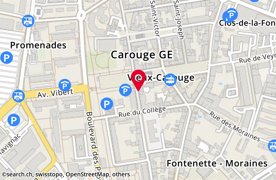 Rue Jacques-Dalphin 27, 1227 Carouge