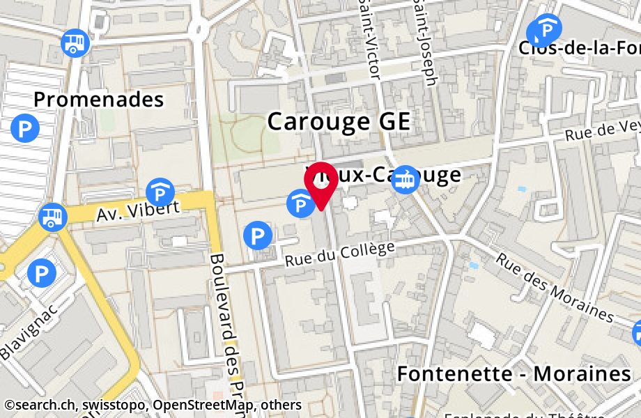 Rue Jacques-Dalphin 30, 1227 Carouge