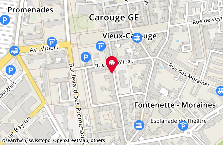 Rue Jacques-Dalphin 36, 1227 Carouge
