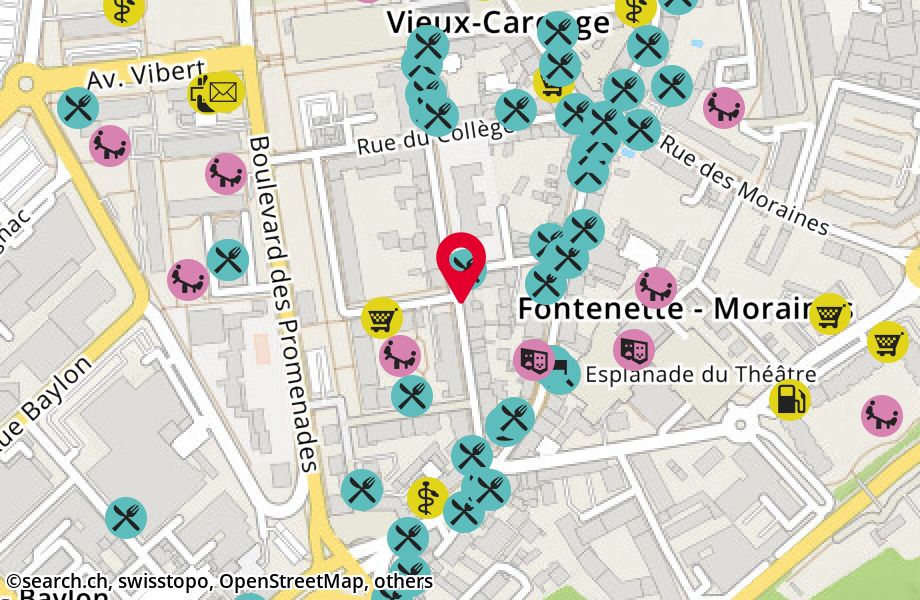 Rue Jacques-Dalphin 37, 1227 Carouge
