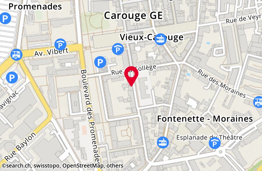 Rue Jacques-Dalphin 38, 1227 Carouge