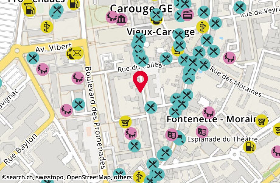 Rue Jacques-Dalphin 40, 1227 Carouge