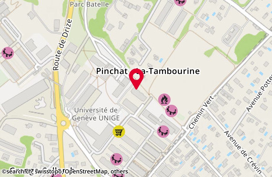Rue de la Tambourine 33, 1227 Carouge