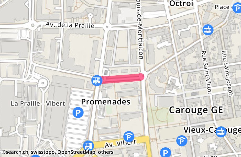 Rue du Centenaire 22, 1227 Carouge