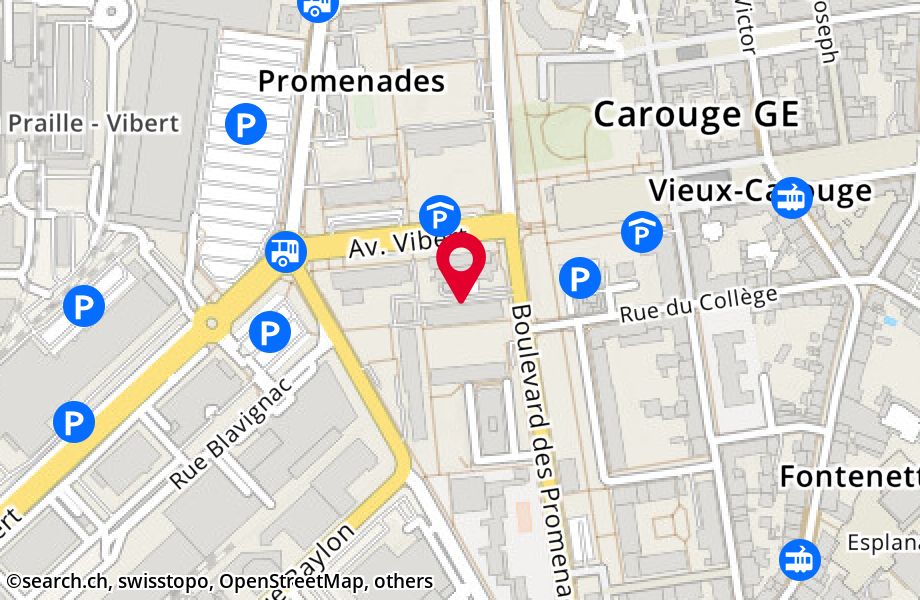 Avenue Vibert 13, 1227 Carouge