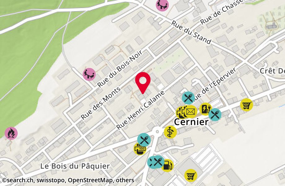 Rue Henri Calame 12, 2053 Cernier